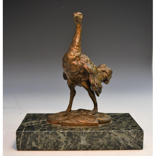 1243 - French School (19th century), a gilt animalier bronze, of an ostrich, rectangular verde antico marbl... 