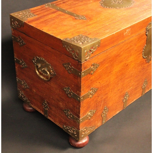 1442 - A Colonial brass mounted camphor rectangular chest, possibly for the Spanish market and reminiscent ... 