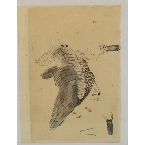 334 - Japanese School (Edo/Meiji period) A Study of a Duck inscribed, pen and ink, 22.5cm x 31cm; another ... 