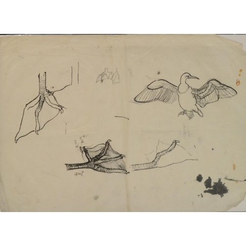 334 - Japanese School (Edo/Meiji period) A Study of a Duck inscribed, pen and ink, 22.5cm x 31cm; another ... 