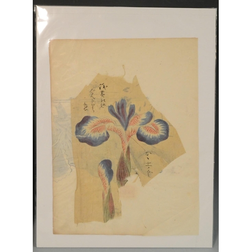 335 - Japanese School (Edo/Meiji period) Still life study, an Orchid  inscribed with calligraphic script, ... 