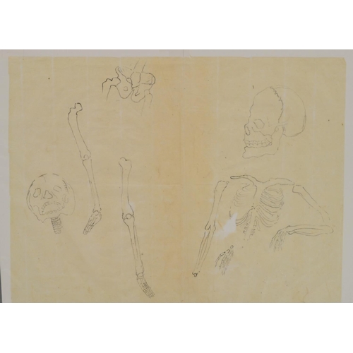 338 - Macabre, Memento Mori - Japanese School (Edo/Meiji period) Anatomical study, of a skeleton in variou... 