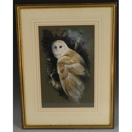 395 - Gardner (20th century) Study of a Barn Owl, in profile  signed, watercolour and gouache on dark gree... 