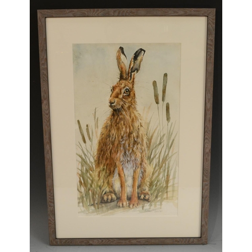 411 - Eileen Turner (Derbyshire Artist) Brown Hare - Harold the Brave signed in pencil, watercolour, 40cm ... 