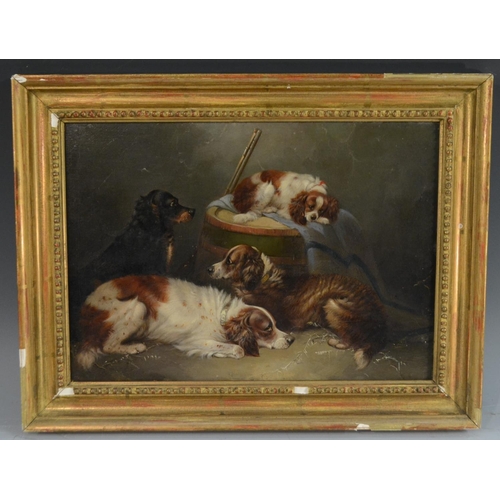 438 - English School (19th century) Faithful Friends, King Charles Spaniel and Working Dogs oil on canvas,... 