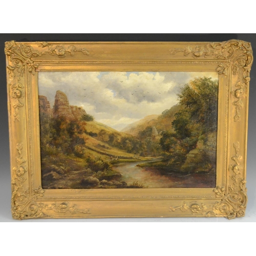 459 - James Waplin (19th century) Dovedale, Derbyshire  signed, oil on canvas, 34cm x 51cm