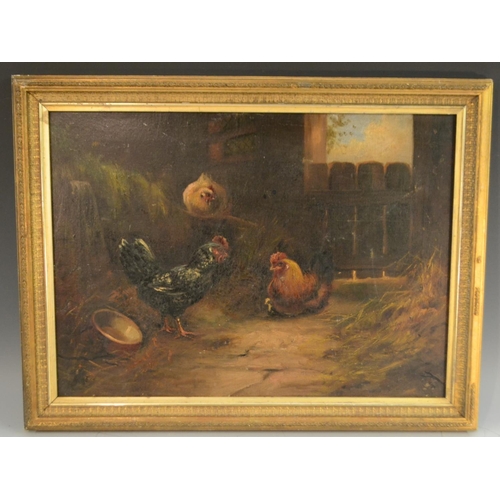 460 - W. Pass (19th century) Barnyard Chickens signed, oil on canvas, 39cm x 54.5cm