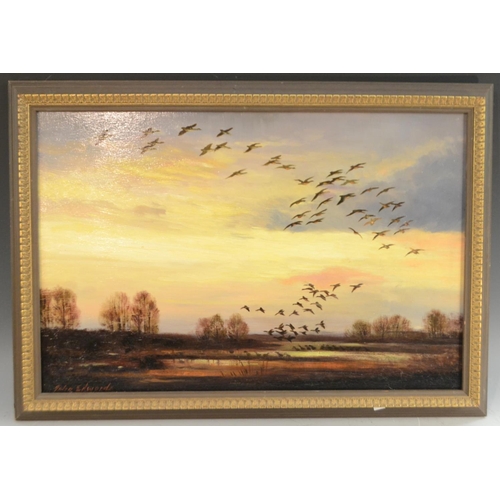 464 - John Edwards (second-half, 20th century)  Geese at Sunset signed, oil on board, 39cm x 59.5cm