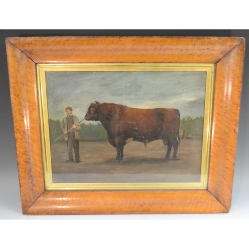 470 - Penner (English Journeyman Artist, late 19th century)  Prize Bull  signed and dated 1879, oil on can... 