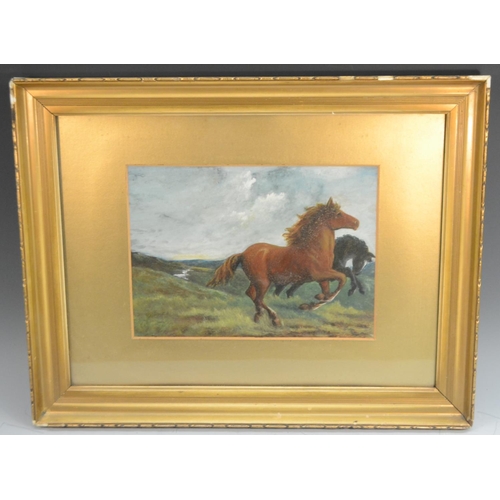 506 - English School (late 19th/early 20th century)  Wild Horses on the Moorland  oil and gouache, 19cm x ... 