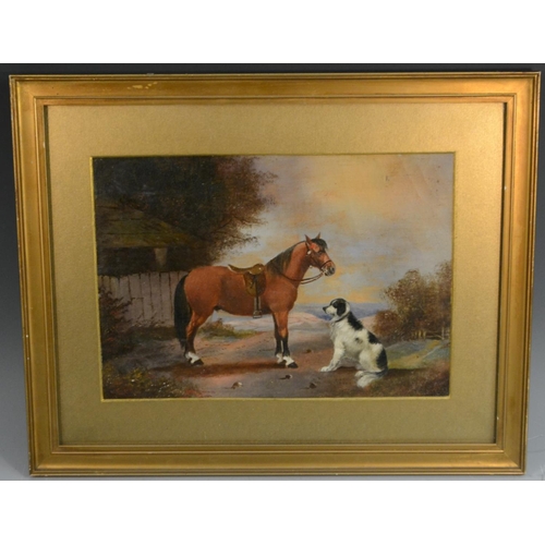 508 - English School (19th century) Unlikely Friends oil, 18.5cm x 26.5cm