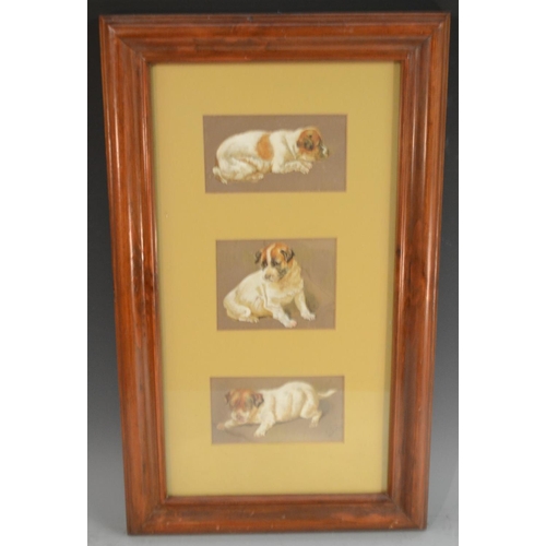 568 - English School (early 20th century) A set of three, Canine Studies of a Terrier Puppy Dog, mounted a... 