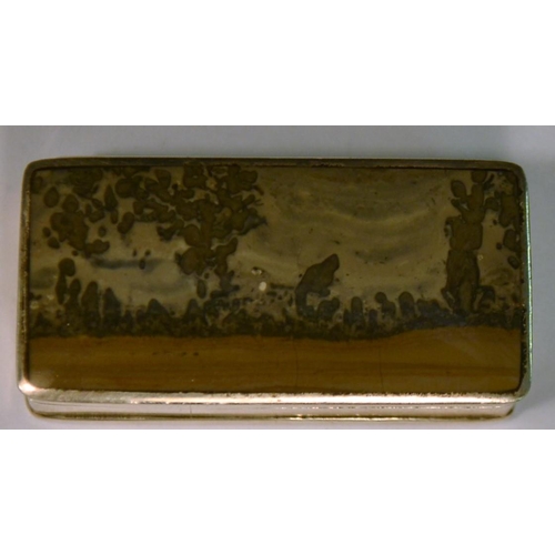 875 - An Elizabeth II picture-jasper mounted silver rounded rectangular snuff box, hinged cover, 5cm wide,... 