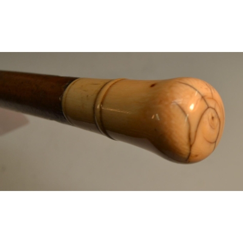 1223 - An 18th century gentleman's ivory and malacca walking cane, quite plain, the bulbous handle centred ... 