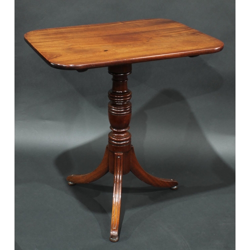 2049 - A Regency mahogany rounded rectangular tripod occasional table, turned pillar, moulded sabre legs, b... 