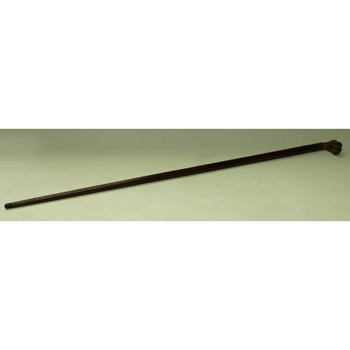 5152 - A late 19th/early 20th century walking cane, the handle carved as the head of a boxer dog