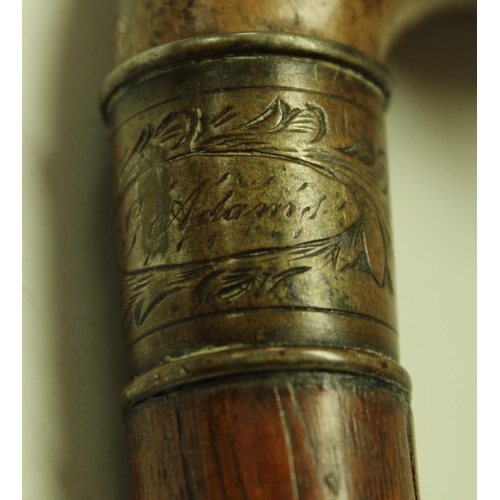 5152 - A late 19th/early 20th century walking cane, the handle carved as the head of a boxer dog