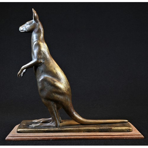 5343 - An early 20th century novelty bar lighter, cast as an Australian Kangaroo, standing, aperture to mou... 