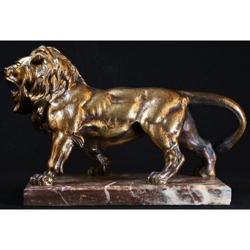 5412 - Continental School (19th century), a gilt bronze, of a lion, standing, fierce, rectangular marble ba... 