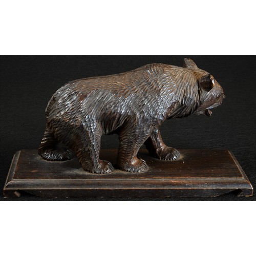 5077 - A Black Forest carving, of a bear, he stands, four square, the rectangular base inscribed 'Geneve', ... 