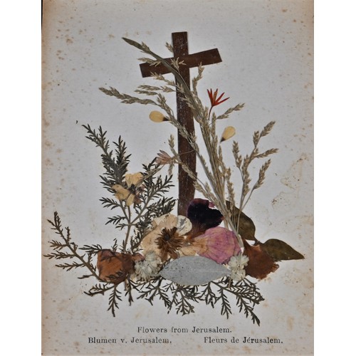 5349 - An early 20th century olive wood Grand Tour 'herbarium'. Flowers from the Holy Land, published by FR... 