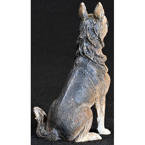 5315 - An Austrian cold painted bronze, of a German shepherd dog, seated, with tongue protruding, 7cm high,... 