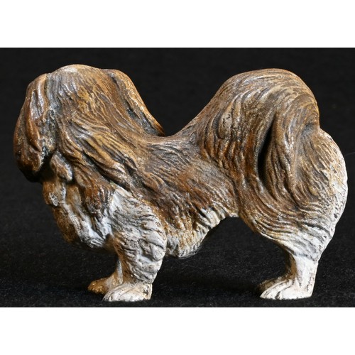 5316 - An Austrian cold painted bronze, of a pekingese dog, 5.5cm long, Vienna, c.1900