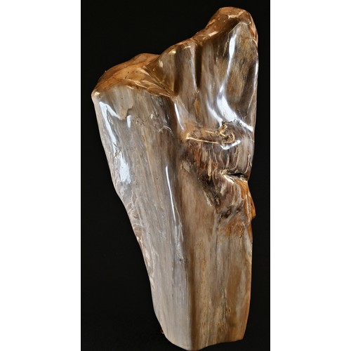 5559 - Natural History - Geology, Paleontology - a fossilized wood, of sculptural form, 39cm high