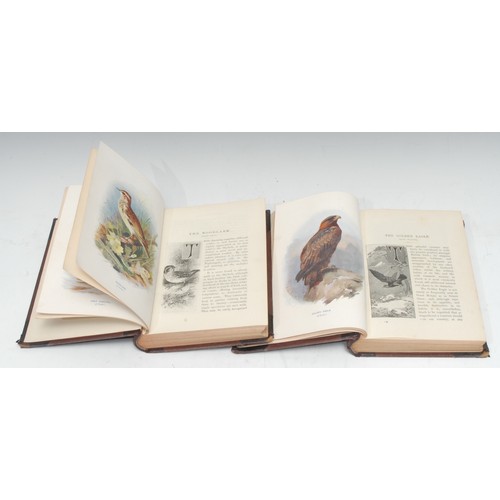 5967 - Ornithology - Swaysland (W.), Familiar Wild Birds, Illustrated by A. Thorburn and Others/With Colour... 