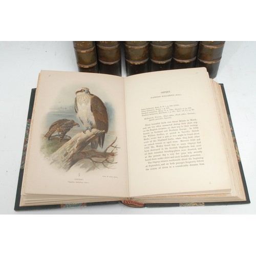 5969 - Ornithology -Lilford ([Thomas Powys, 4th Baron] Lord, F.Z.S. Etc., President of the British Ornithol... 