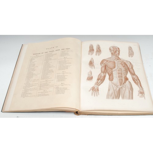 5854 - Medical, Anatomy - Bock (Prof. Dr. C.E.), Atlas of Human Anatomy, with Explanatory Text, Containing ... 