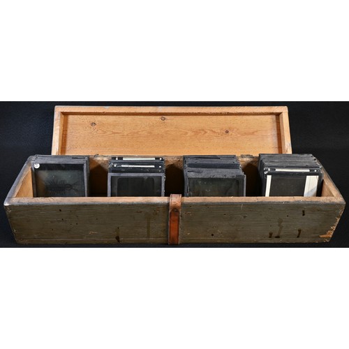 5787A - Magic Lantern Slides - Natural History, Entomology and Cellular Biology, various b/w, cased, [aaprox... 