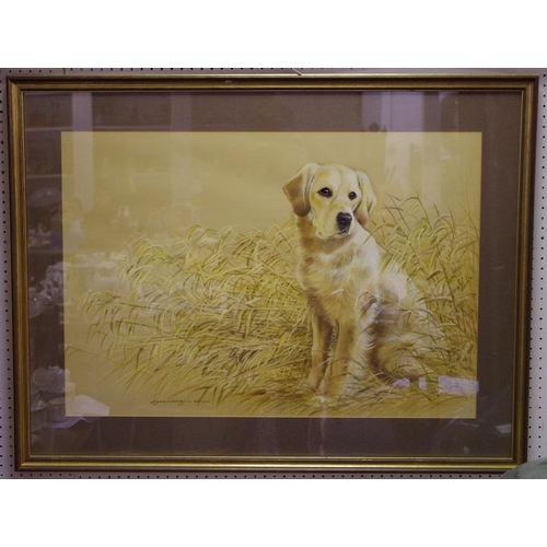 438 - After Pollyanna Pickering 'Golden Retriever' framed