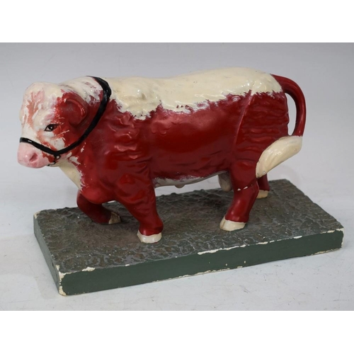 53 - A Butchers shop window display model of a standing bull, red and white head, red body, white back an... 