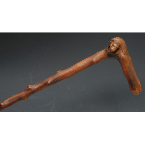 3581 - A 19th century fruitwood treen walking stick, the L-shaped handle carved with an acorn and oak leave... 