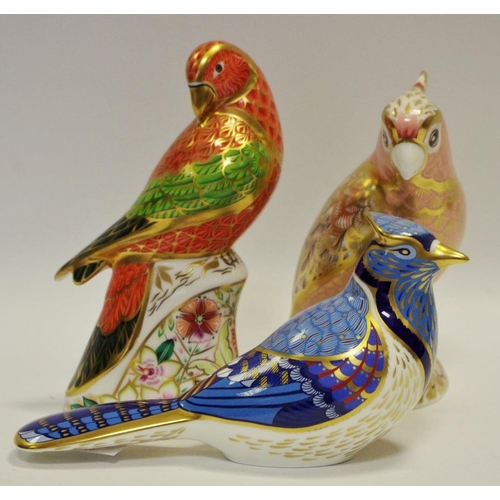 37 - A Royal Crown Derby paperweight, Blue Jay, printed mark, gold stopper, boxed;  others, Lorikeet, lim... 