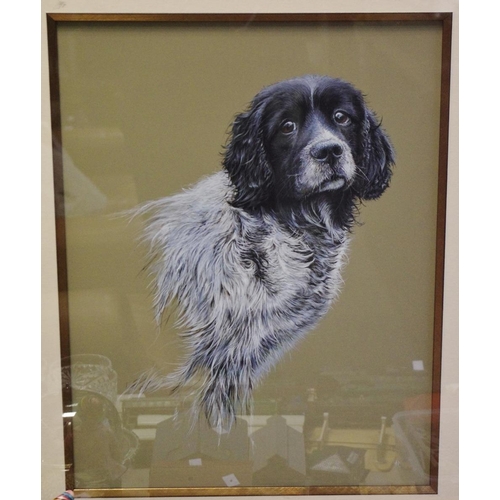 92 - John N Clark, Springer Spaniel, gouache on board, framed, 75 cm x 62.5 cm; a set of five engravings ... 