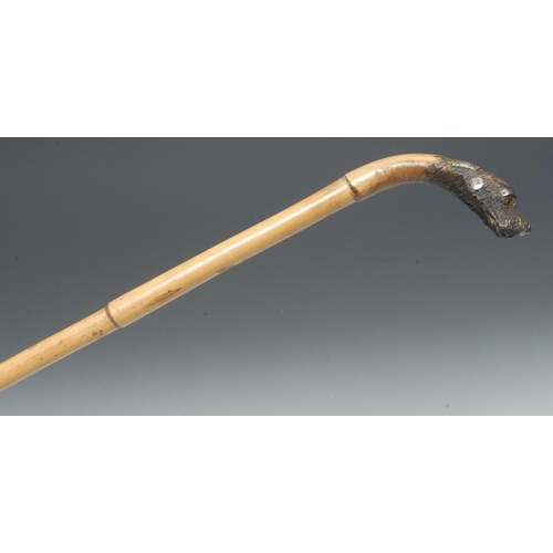 1455 - A 19th century gentleman's novelty walking cane, the curved handle carved as the head of a dog, the ... 