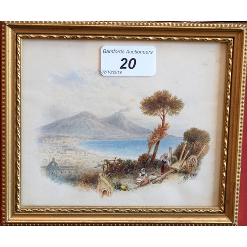 Lot 20        