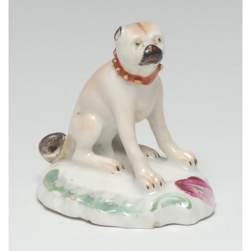 135 - A Derby Patch Mark model of a seated pug, decorated in brown, wearing a studded collar, oval scroll ... 