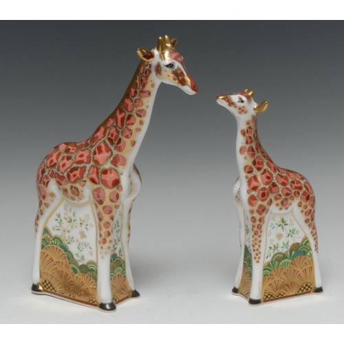 349 - A Royal Crown Derby paperweight, Masai Giraffe, exclusive to Goviers of Sidmouth, printed mark, gold... 