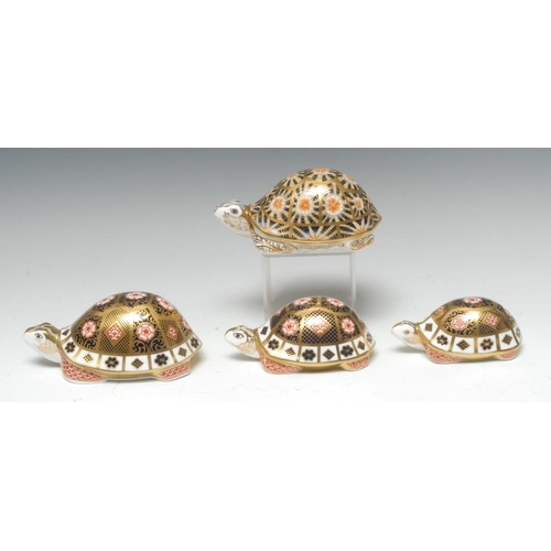 353 - A set of three graduated Royal Crown Derby paperweights, The Yorkshire Rose Tortoise Family, exclusi... 