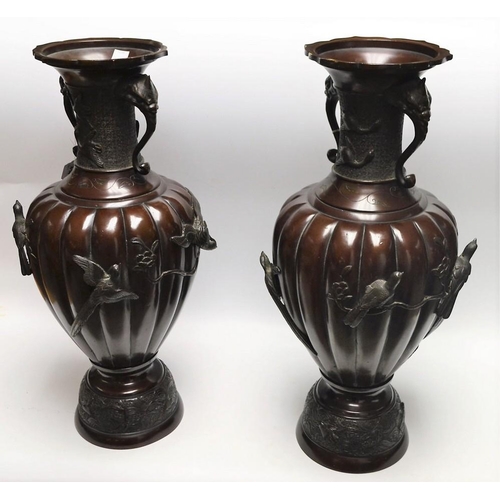 494 - An unusually large pair of Japanese bronze lobed ovoid vases, the tall everted necks with elephant m... 