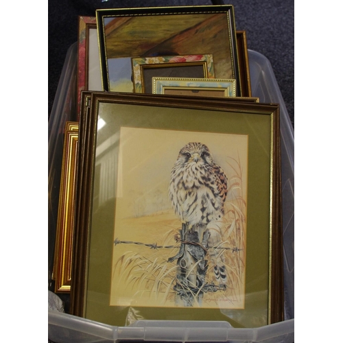 383 - Pollyanna Pickering  prints- avian subjects; other pictures, prints and frames.