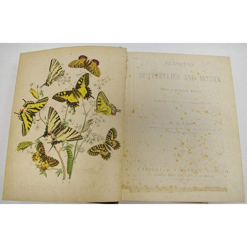 74 - Books - European Butterflies and moths, W.F.Kirby