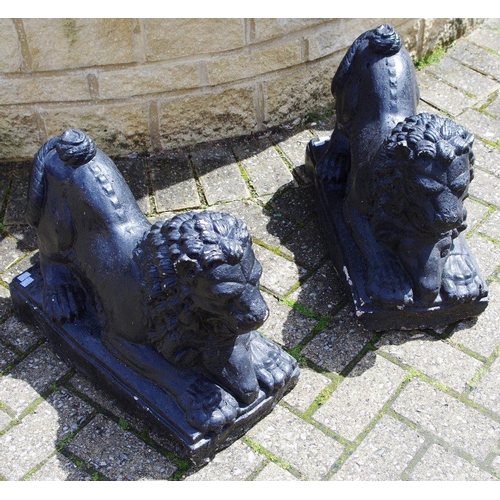 137 - A pair of black painted reconstituted garden lions, 60cm long (2)