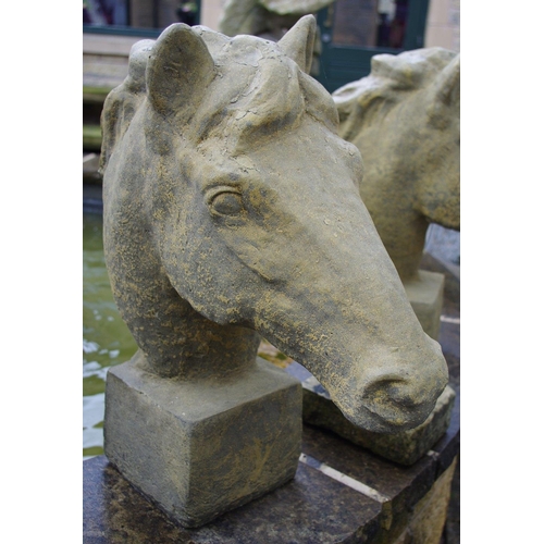 139 - Garden Statuary - a pair of English Stone inc quartz horse's head gate post finials, 60cm high