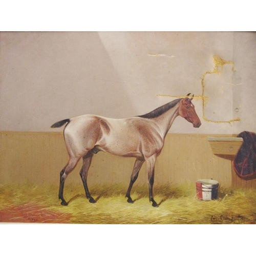 132 - Colin Graeme (1858-1910) Strawberry Roan Gelding, in a stable signed, dated 98, oil on canvas, 44cm ... 