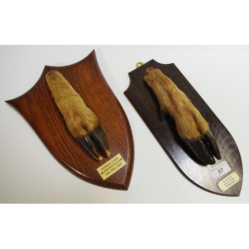 57 - Taxidermy - a deer hoof trophy mount, oak shield shaped plaque marked Horner Farm Somersetshire Aug ... 