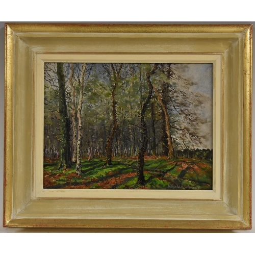 3017 - Arthur W. Newsholme Spring Sunshine, Hookstone Wood signed, oil on board, 23cm x 31cm